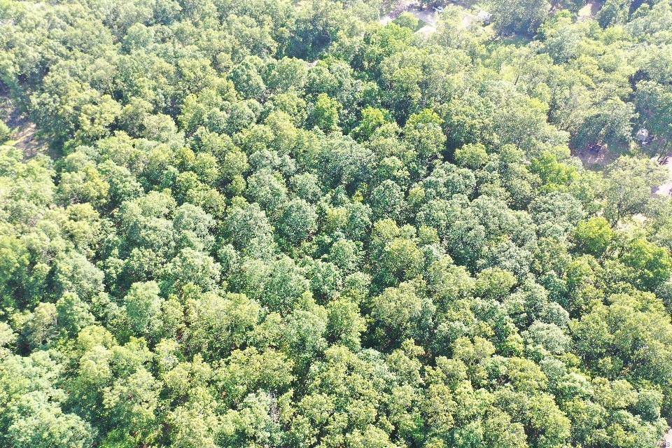 Salem, MO 65560,1 CR 4253