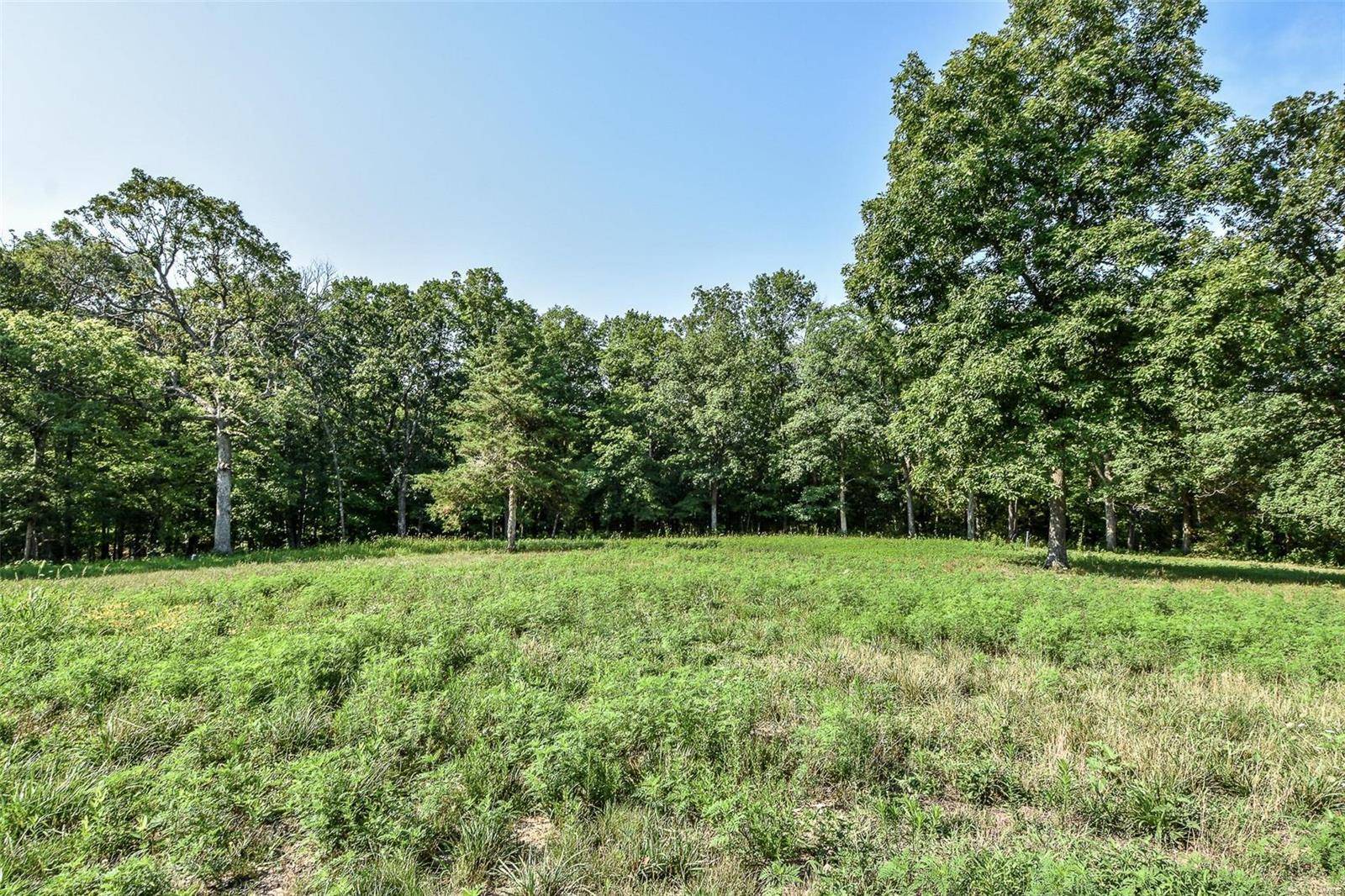 Holts Summit, MO 65043,14 Eagle Lake LN