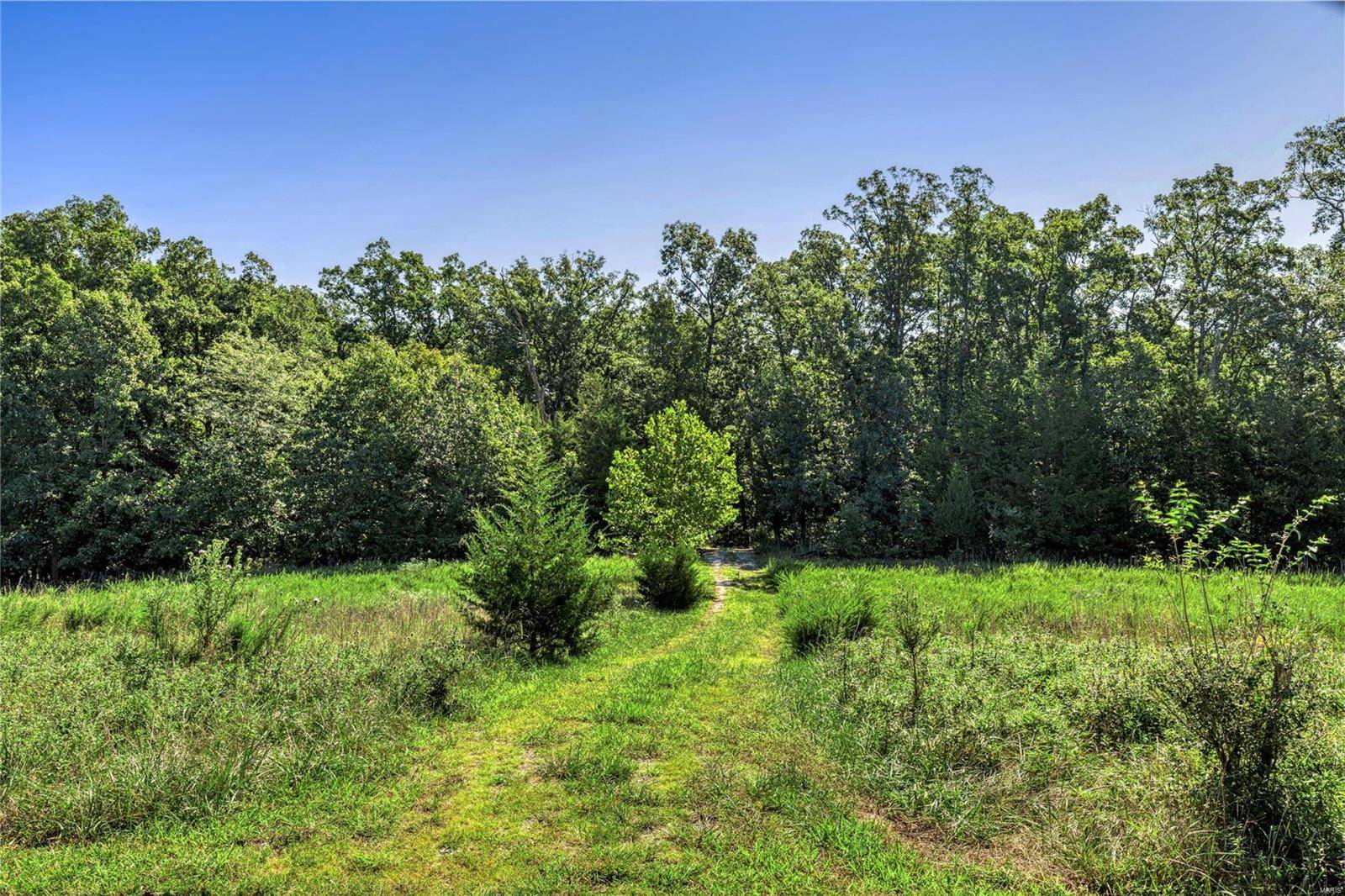 Innsbrook, MO 63390,2467 Alpine Lake DR