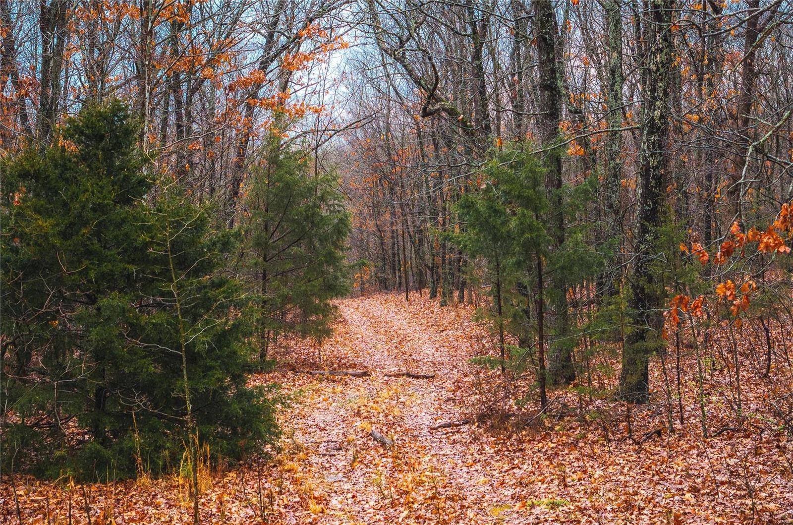 Bourbon, MO 65441,0 Christy Mine RD