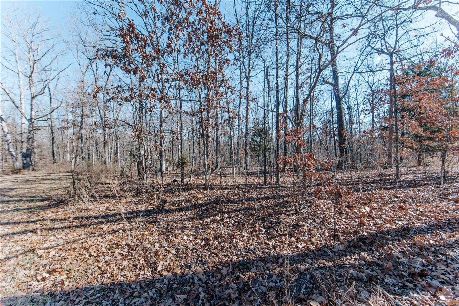 St James, MO 65559,0 8.57 +/- Acres Prvt Dr 3606