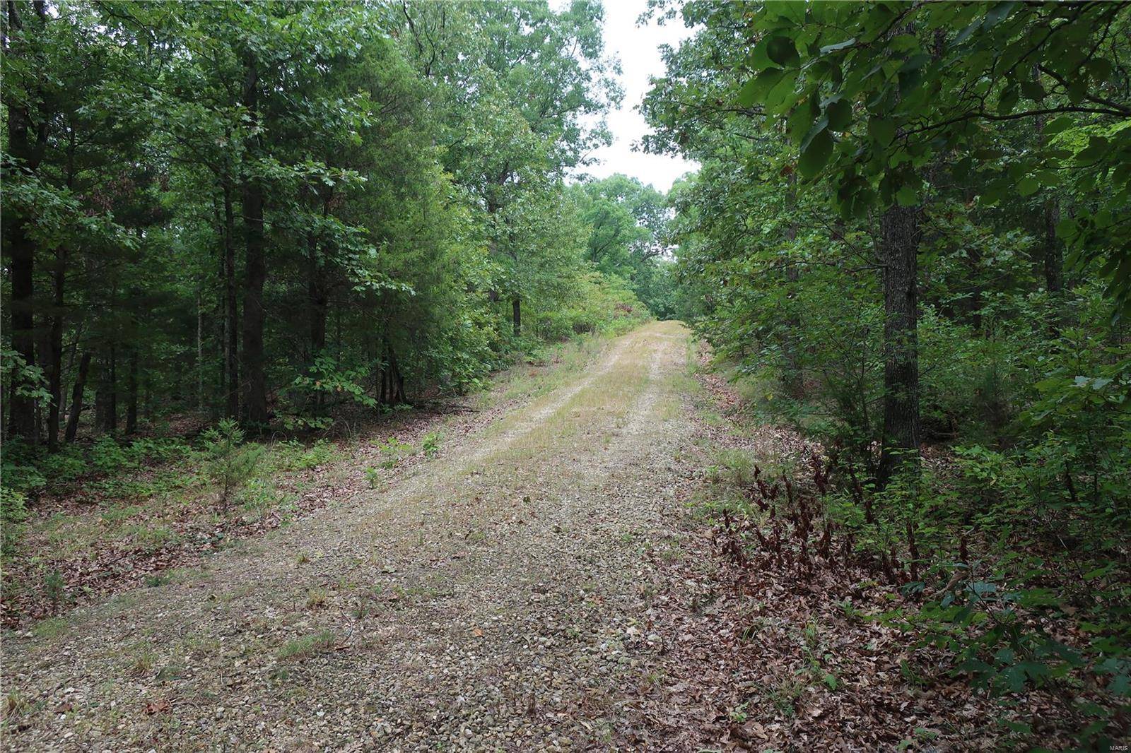 Dittmer, MO 63023,0 54.5 +/- Acres-Bucks Crossing