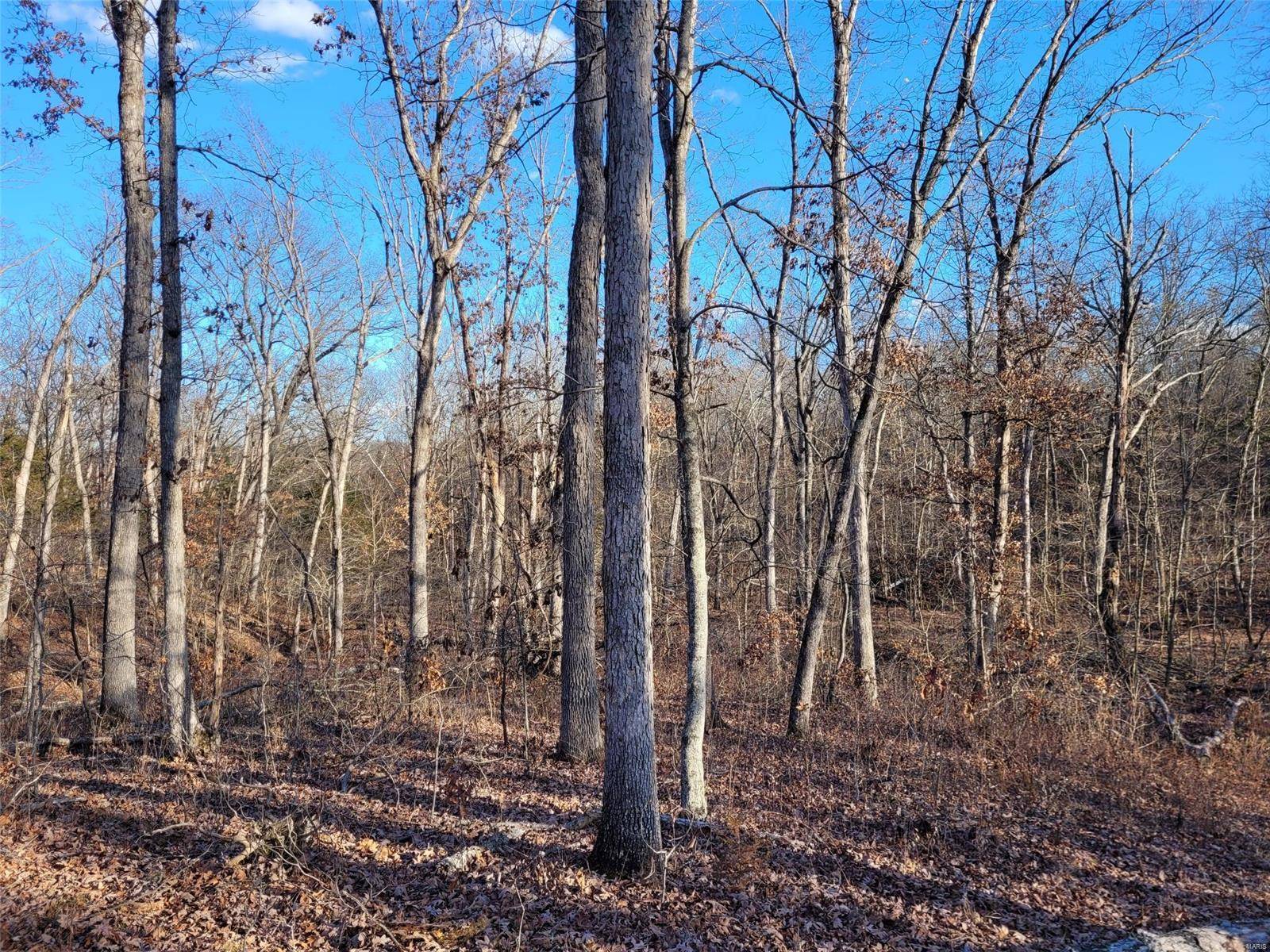 Wright City, MO 63390,2010 Wolf Pen Hollow (11.43 acres) LN