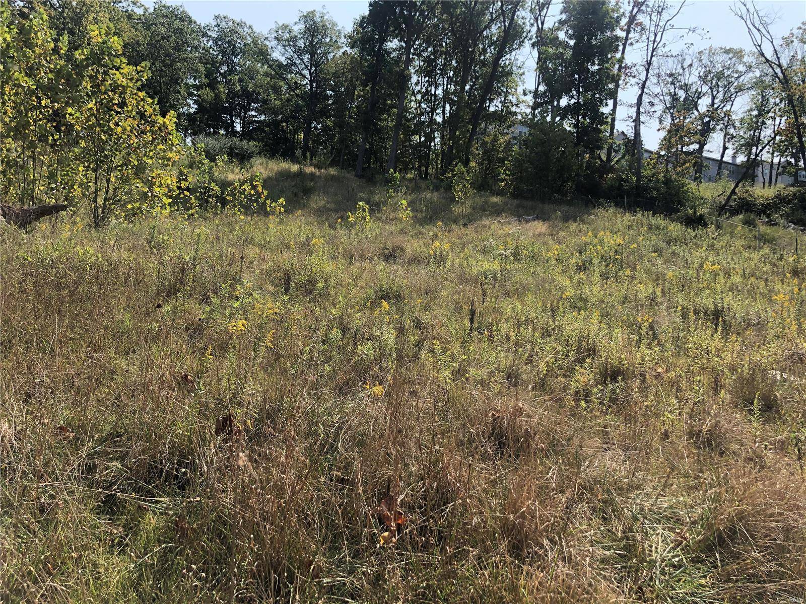 High Ridge, MO 63049,6752 Walnut Valley