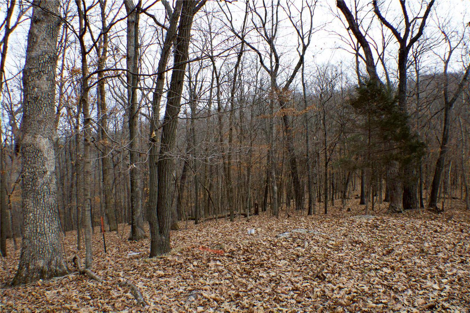 Eureka, MO 63025,1 Misty Ridge (Lot 3)