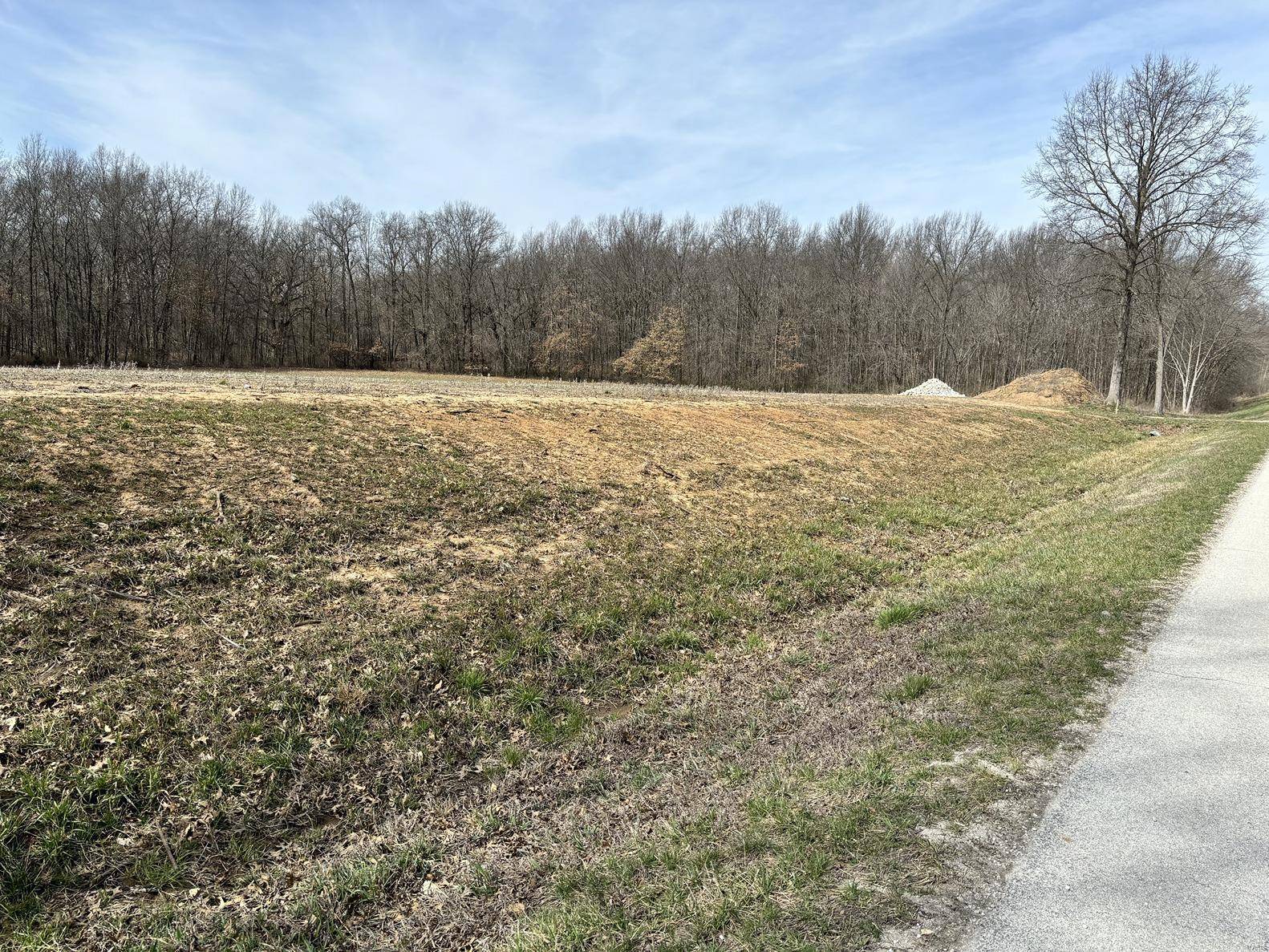 Mexico, MO 65265,0 Lot #2 - State Hwy 15