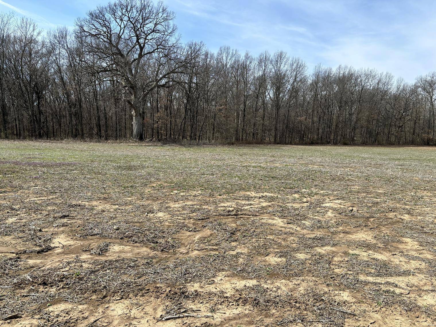 Mexico, MO 65265,0 Lot #2 - State Hwy 15