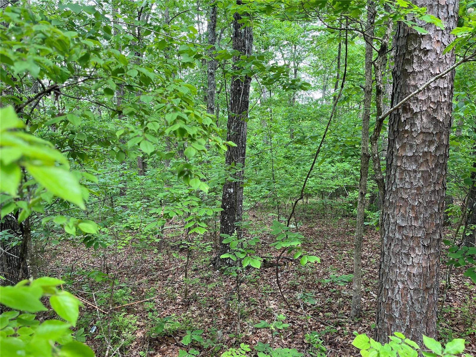 Van Buren, MO 63965,0 Deer Run Plat 12 Lot 13