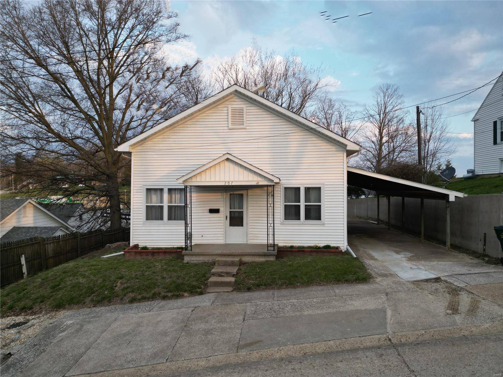 Louisiana, MO 63353,207 Noyes ST