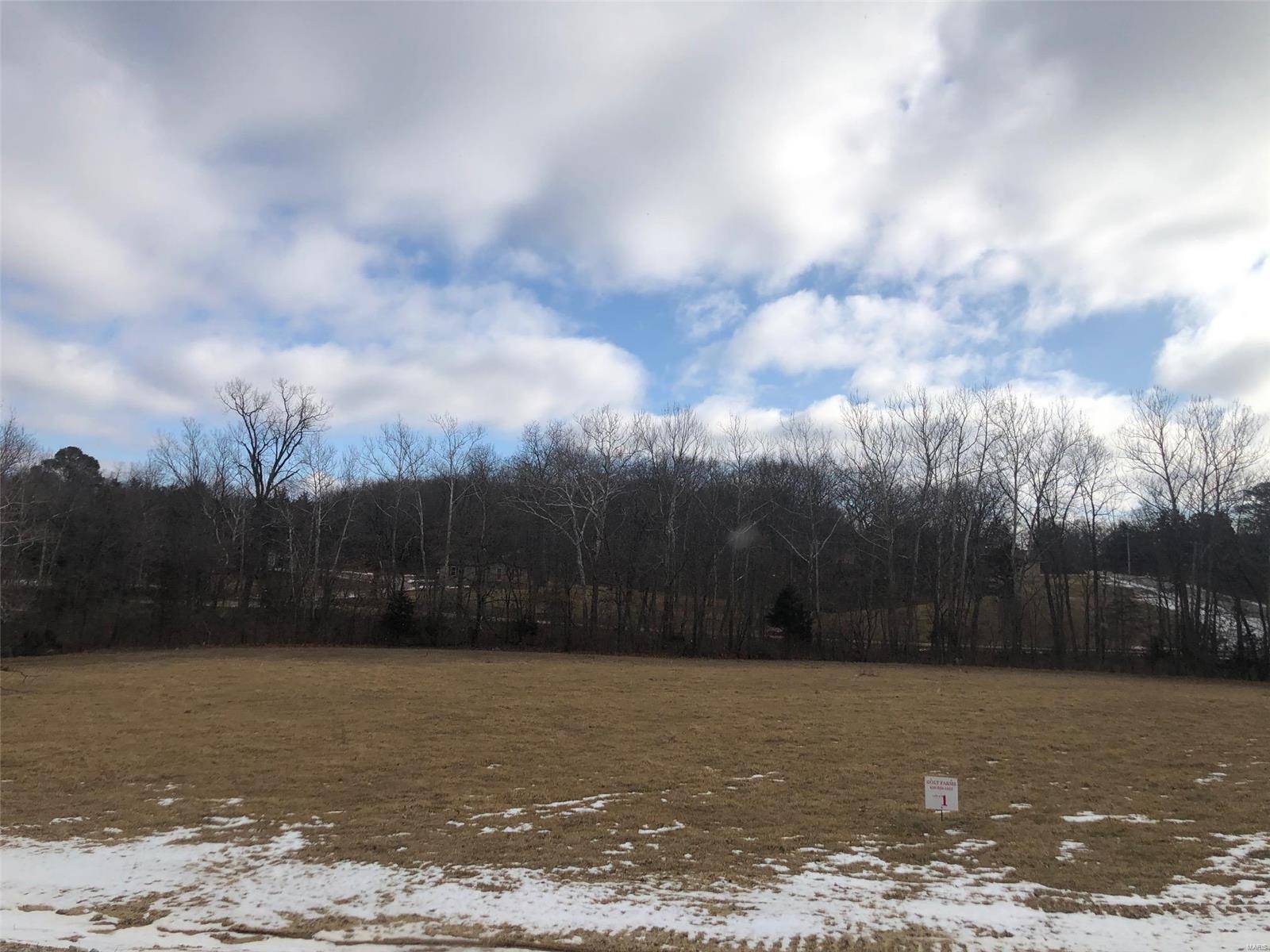 Wentzville, MO 63385,0 Lot 1 Holt Farms