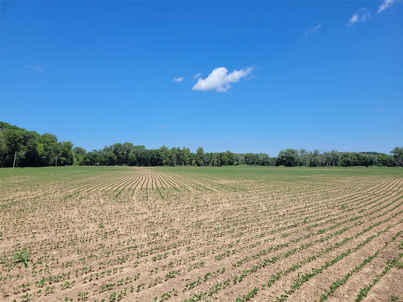 St Clair, MO 63077,0 Old Cove Rd. (117.6+/- Acres)