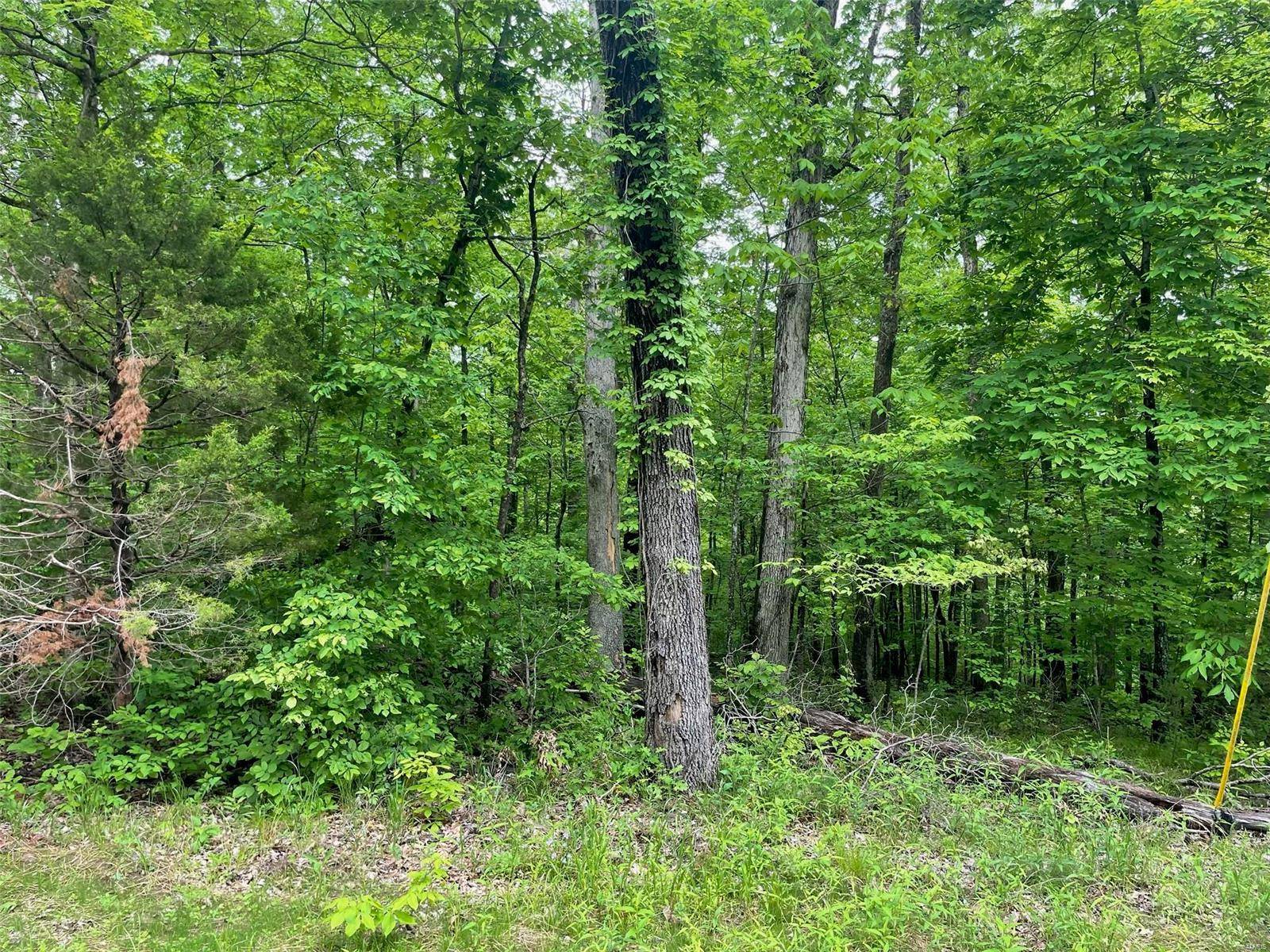 Marthasville, MO 63357,9 LOT #9, THE WOODS