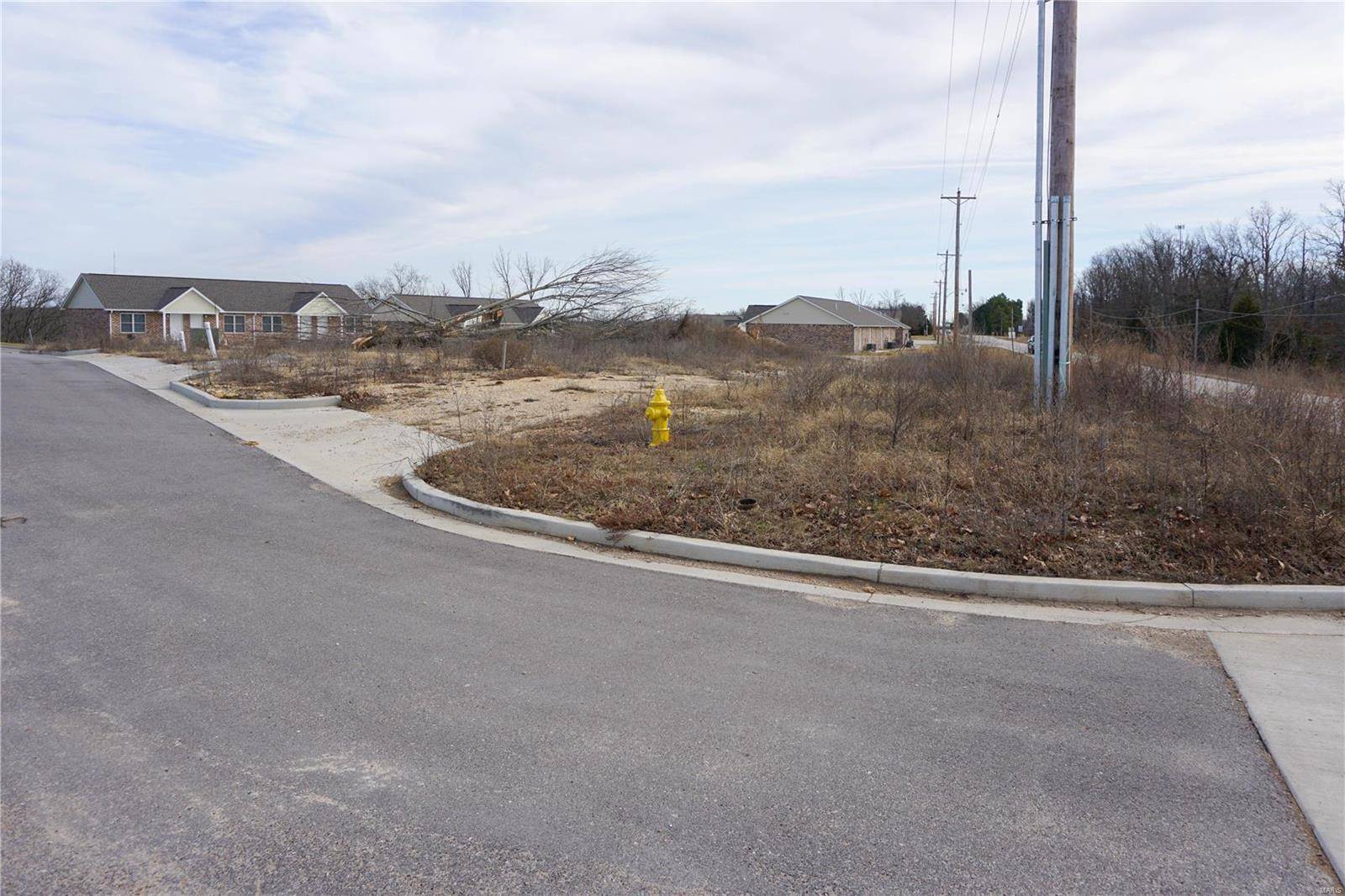 Rolla, MO 65401,0 Danata Street Lot 11