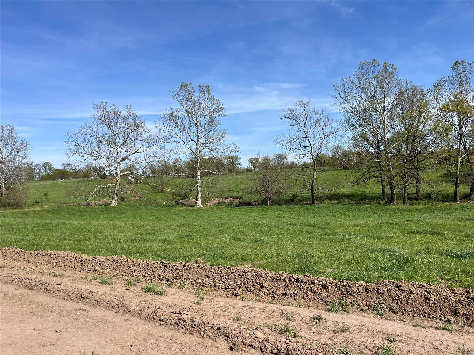 Bowling Green, MO 63334,0 Lot 12 Pike 403 DR