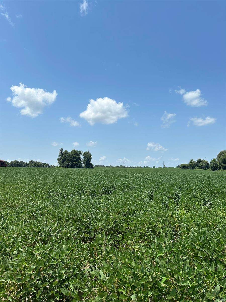 Campbell, MO 63933,0 Highway 62