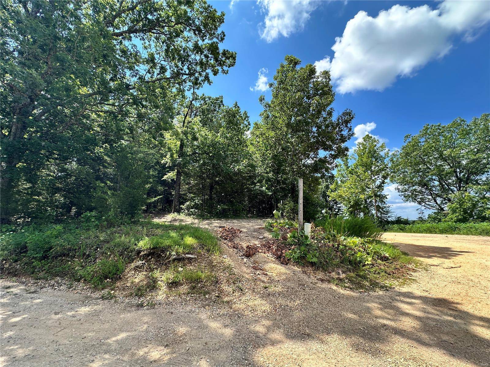 Dixon, MO 65459,0 Lotus LN