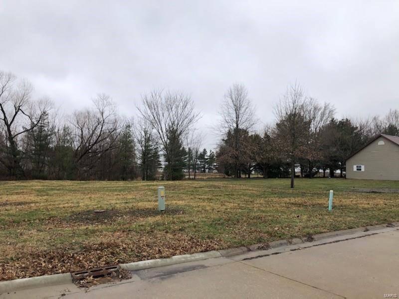 Jerseyville, IL 62052,0 Lot 48 Megan ST