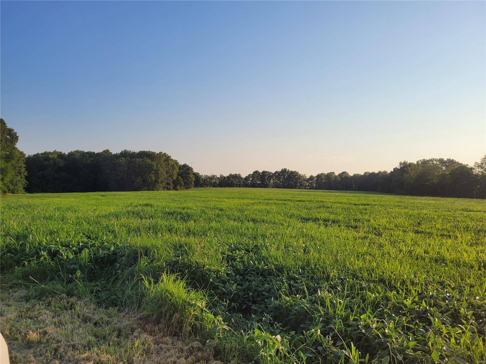 Bellflower, MO 63333,0 Hwy DD (85.69+/- Ac) Tract E