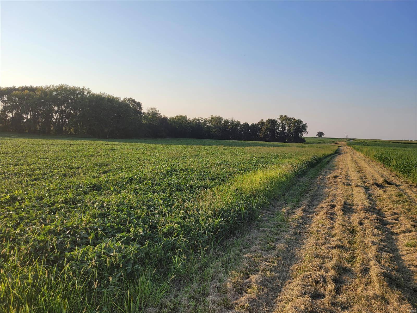 Bellflower, MO 63333,0 Hwy DD (85.69+/- Ac) Tract E