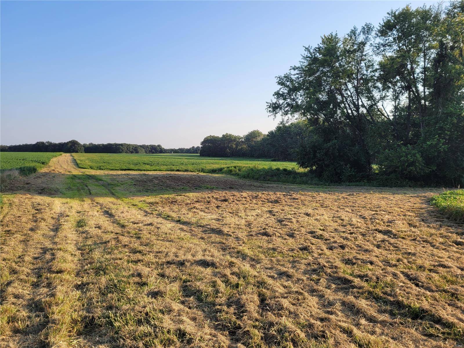 Bellflower, MO 63333,0 Hwy DD (85.69+/- Ac) Tract E