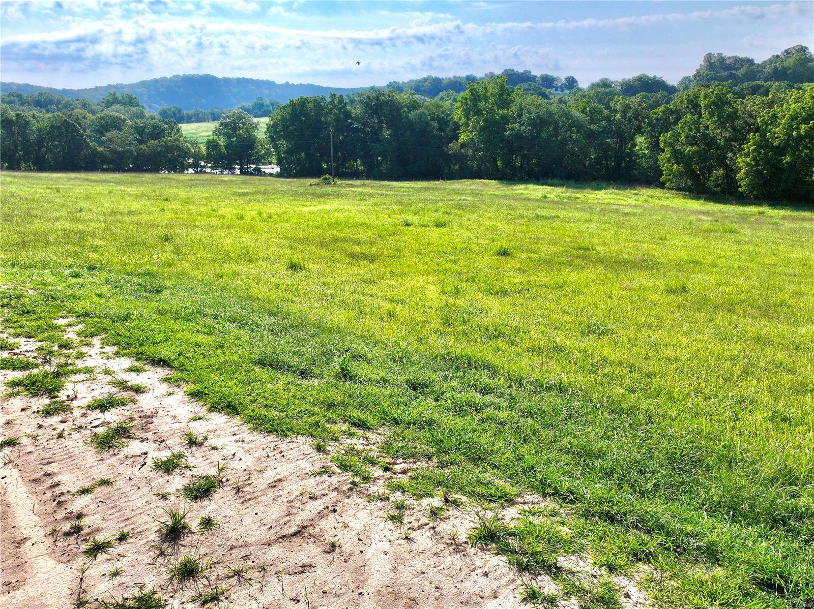 Licking, MO 65542,0 TBD Steam Hollow Dr. Lot 32c