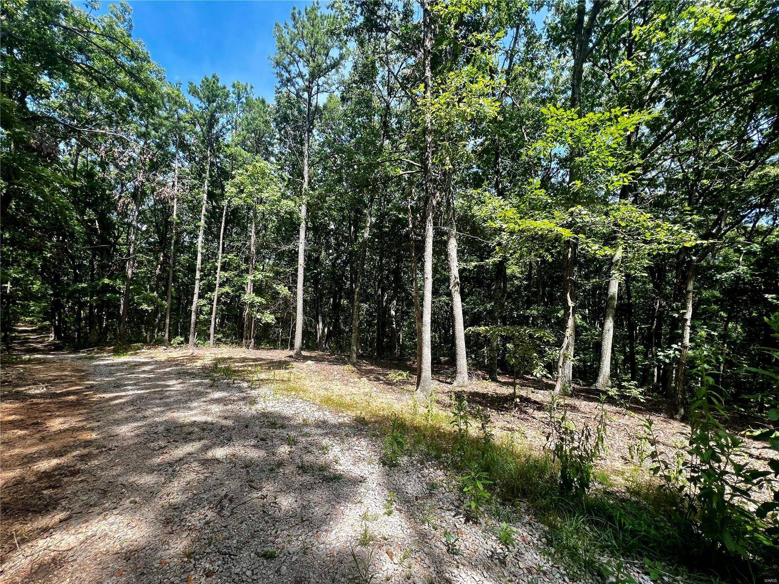Potosi, MO 63664,17 Aspen Trail DR