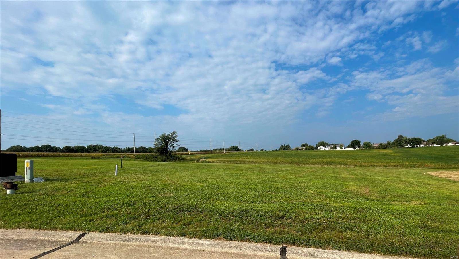 Troy, MO 63379,0 Westborough Estates (Lot 62)