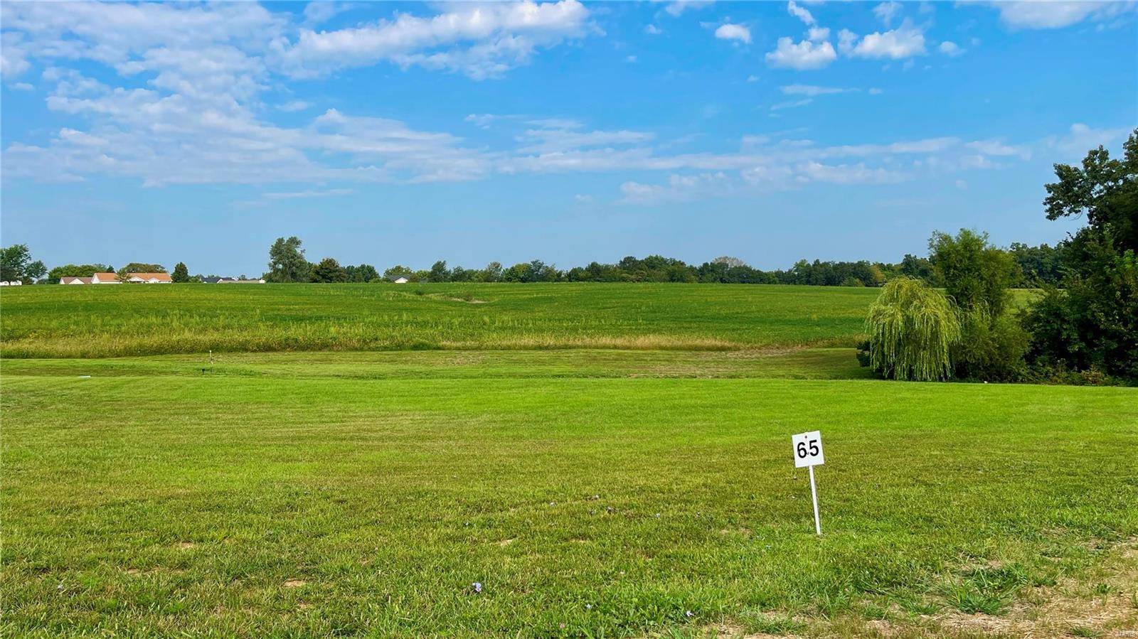 Troy, MO 63379,0 Westborough Estates (Lot 65)