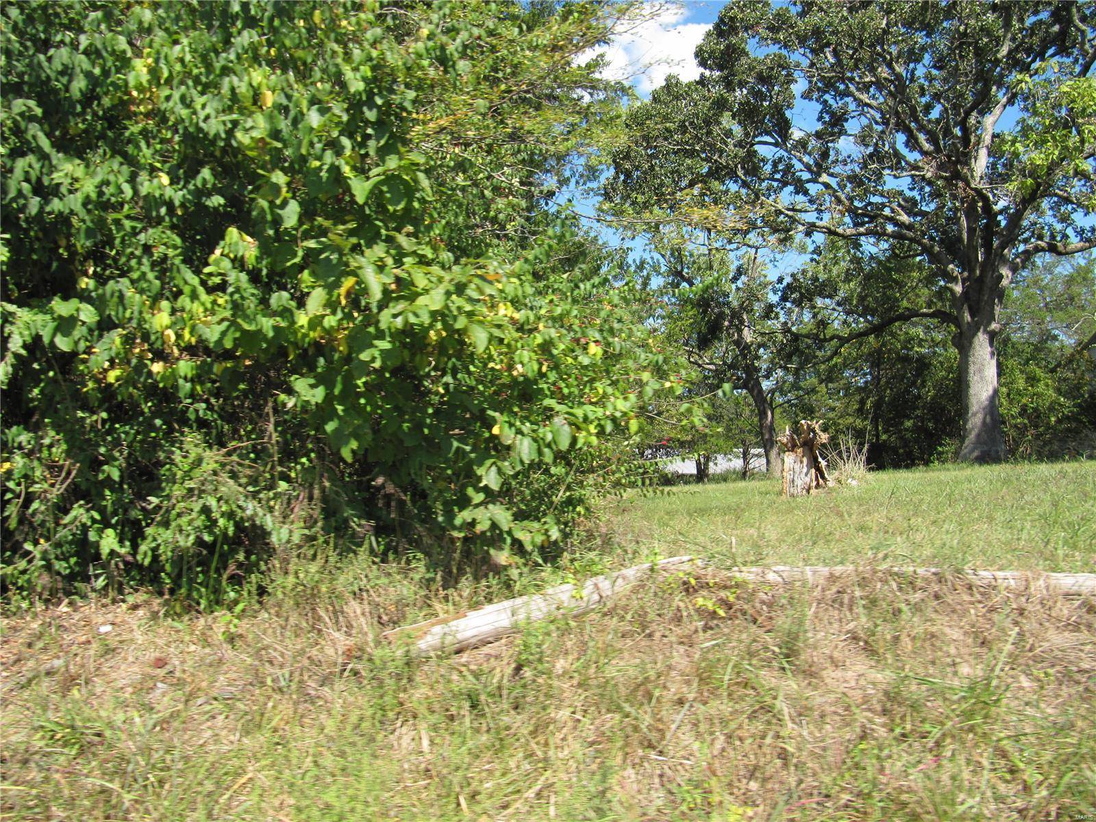 Festus, MO 63028,2351 Buck Creek RD