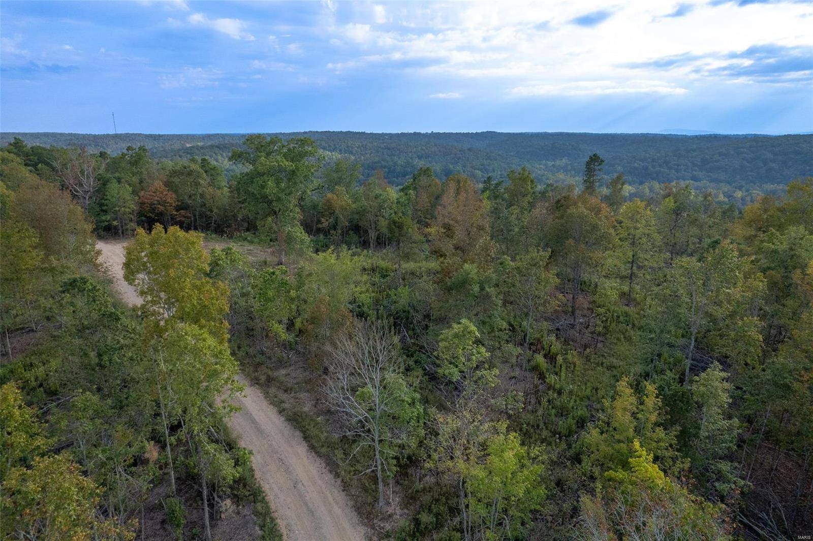 Fredericktown, MO 63645,0 Madison CR 411 (124)