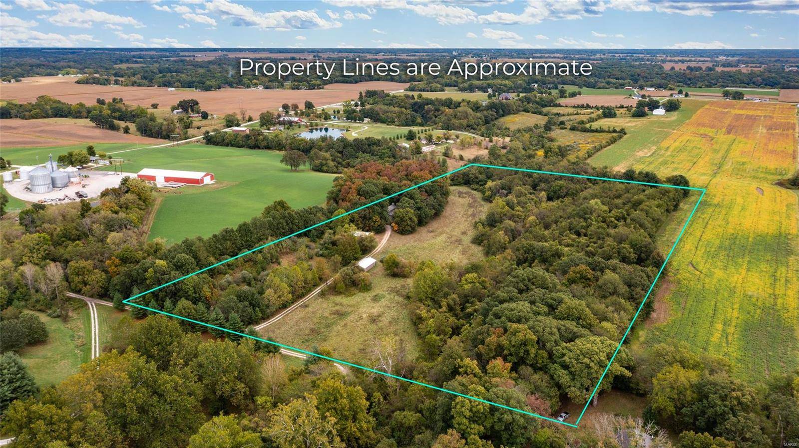Dorsey, IL 62021,6024 Renken RD