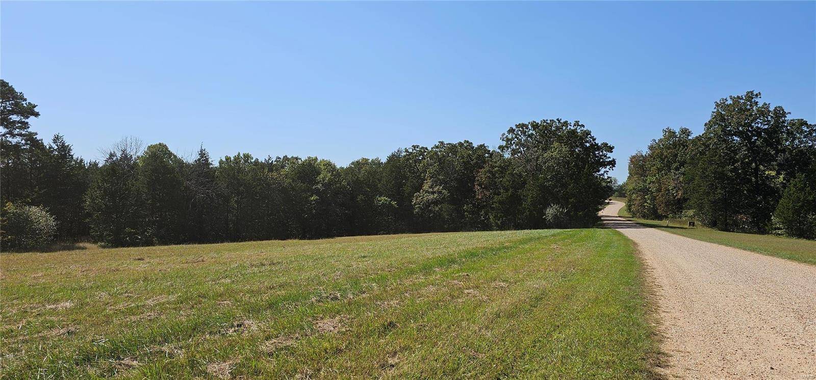 De Soto, MO 63020,4474 Cedar Tree