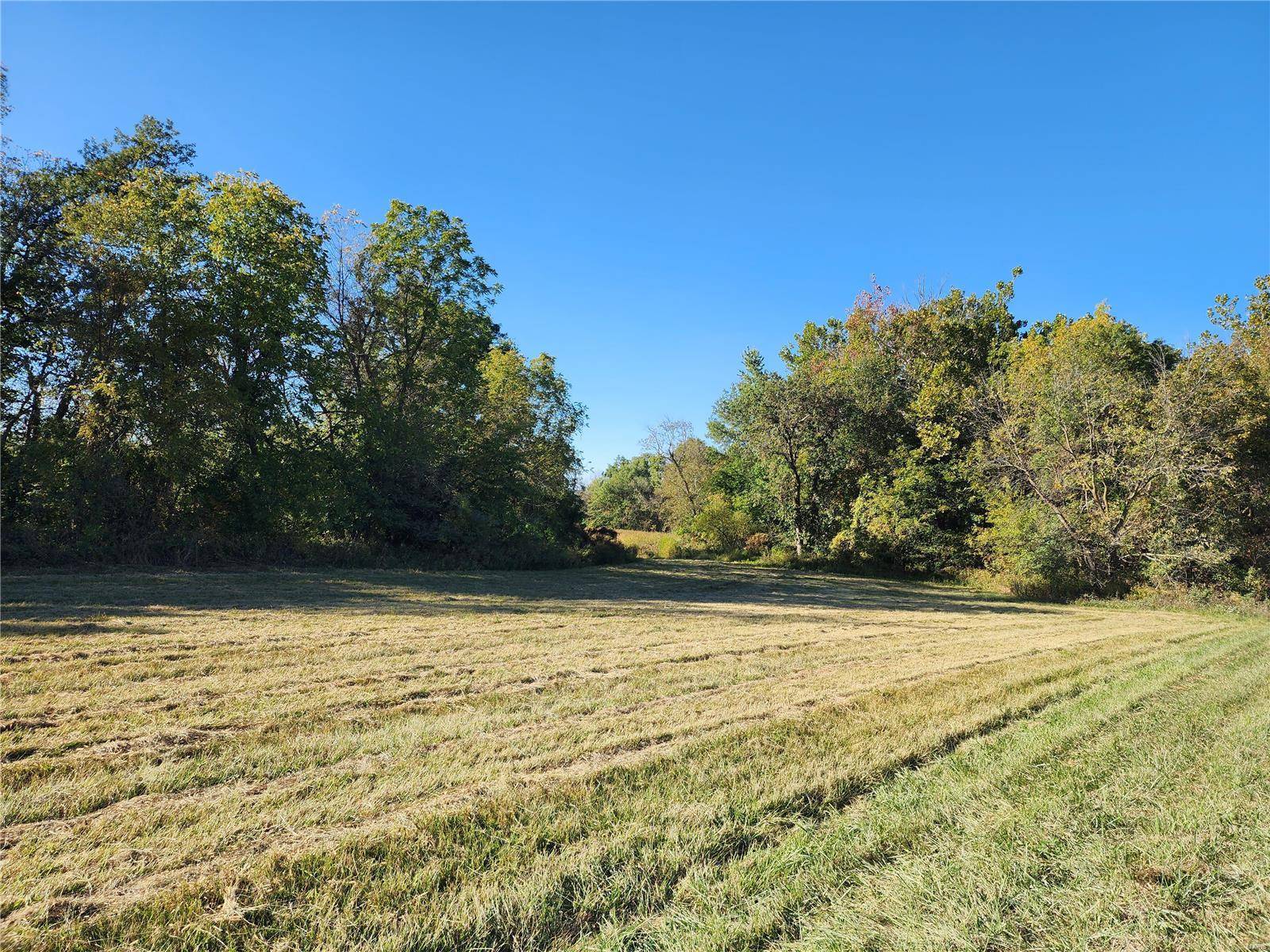 Middletown, MO 63359,0 Audrain Road 689 (45+/- Acres)