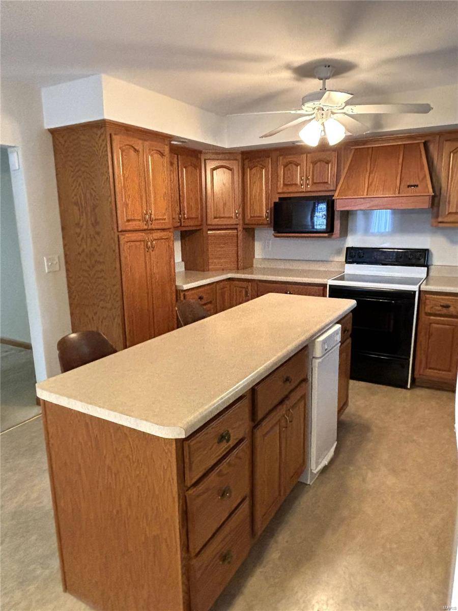 Greenville, IL 62246,703 N Hena ST