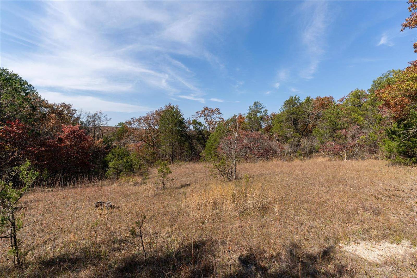 Hillsboro, MO 63050,0 +/- 19.27 acres- PT E1/2 SE1/4