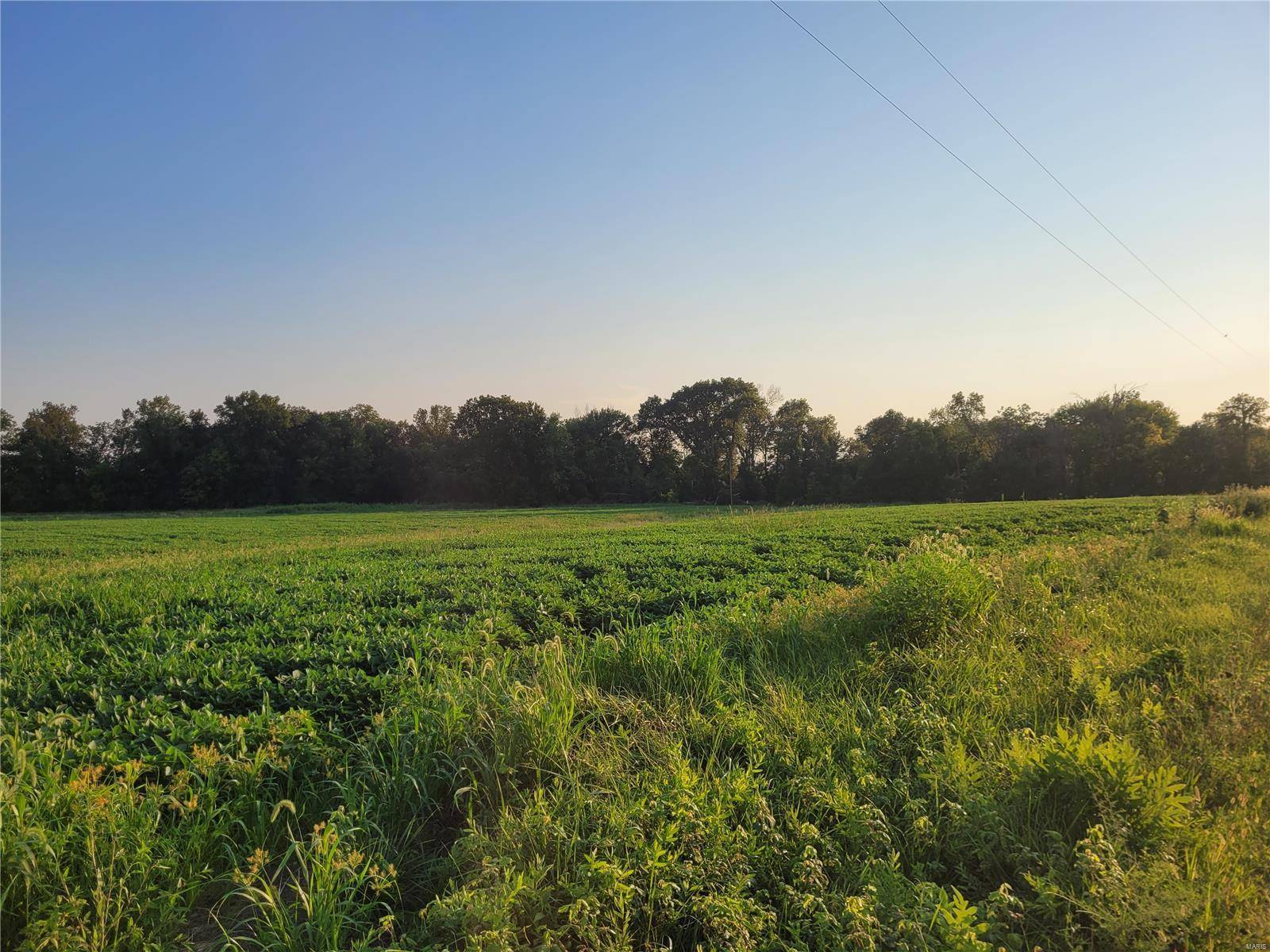 Bellflower, MO 63333,0 Hwy DD (37.53+/- Ac) Tract F