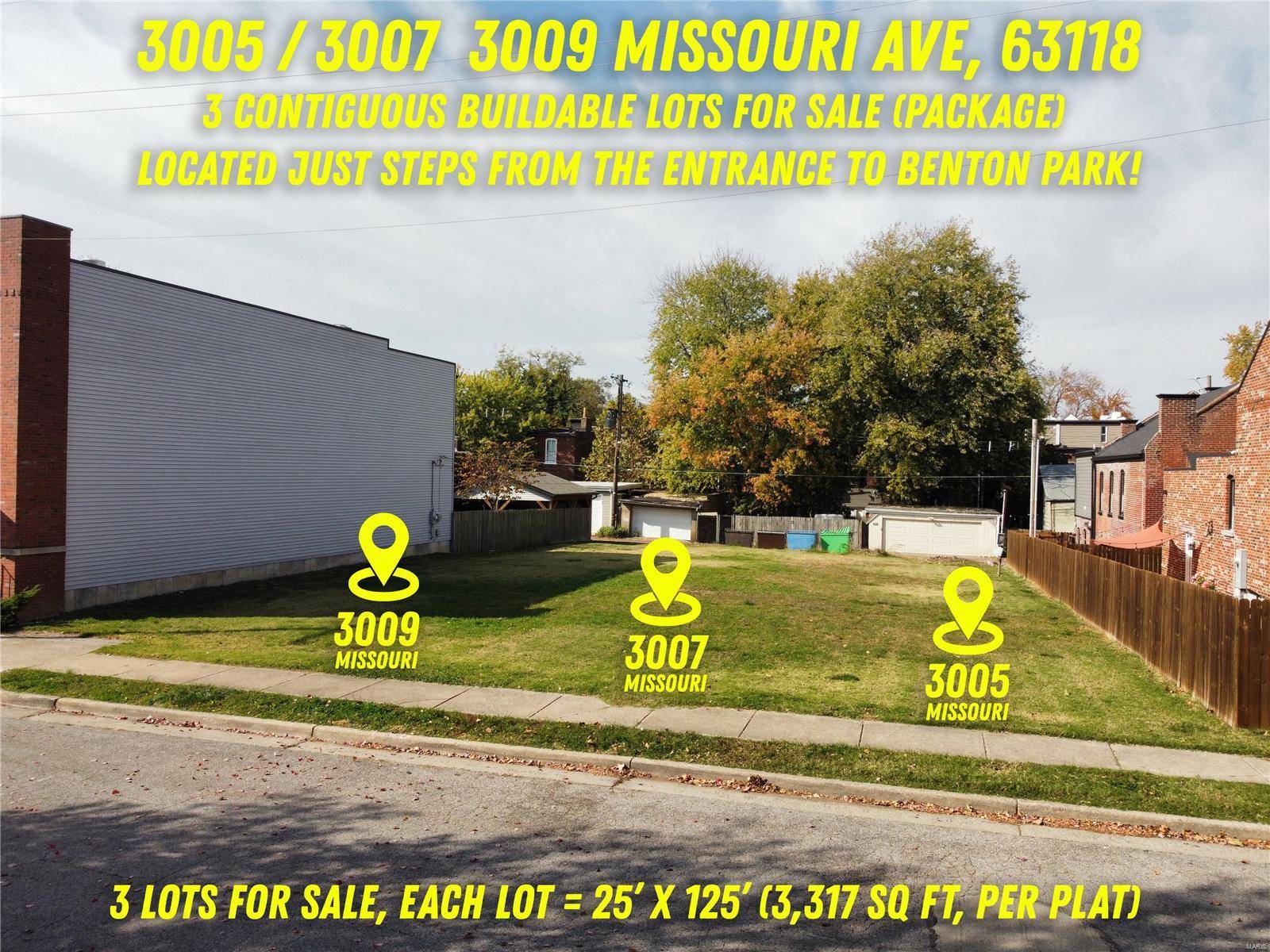 St Louis, MO 63118,3009 Missouri AVE