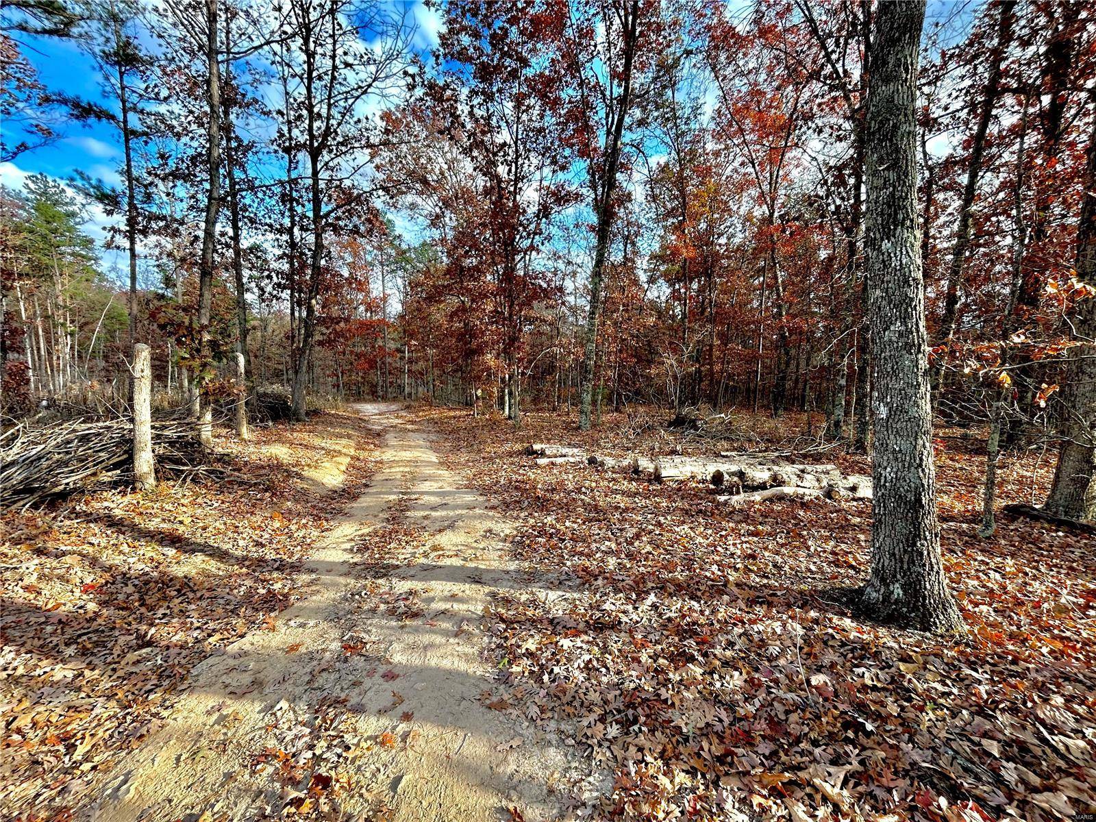 Licking, MO 65542,3 Tract 3 Highway VV