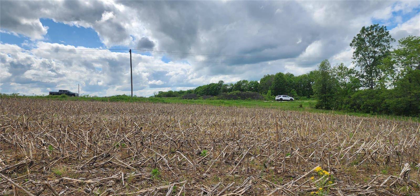 Elsberry, MO 63343,0 Hwy B (30+/- Acres)