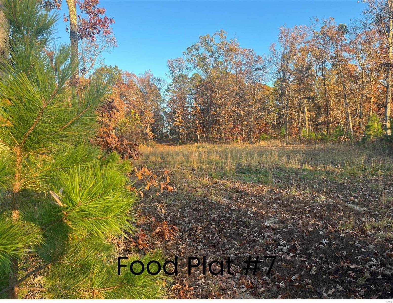 Potosi, MO 65441,0 (320+/- acres) Lodge RD