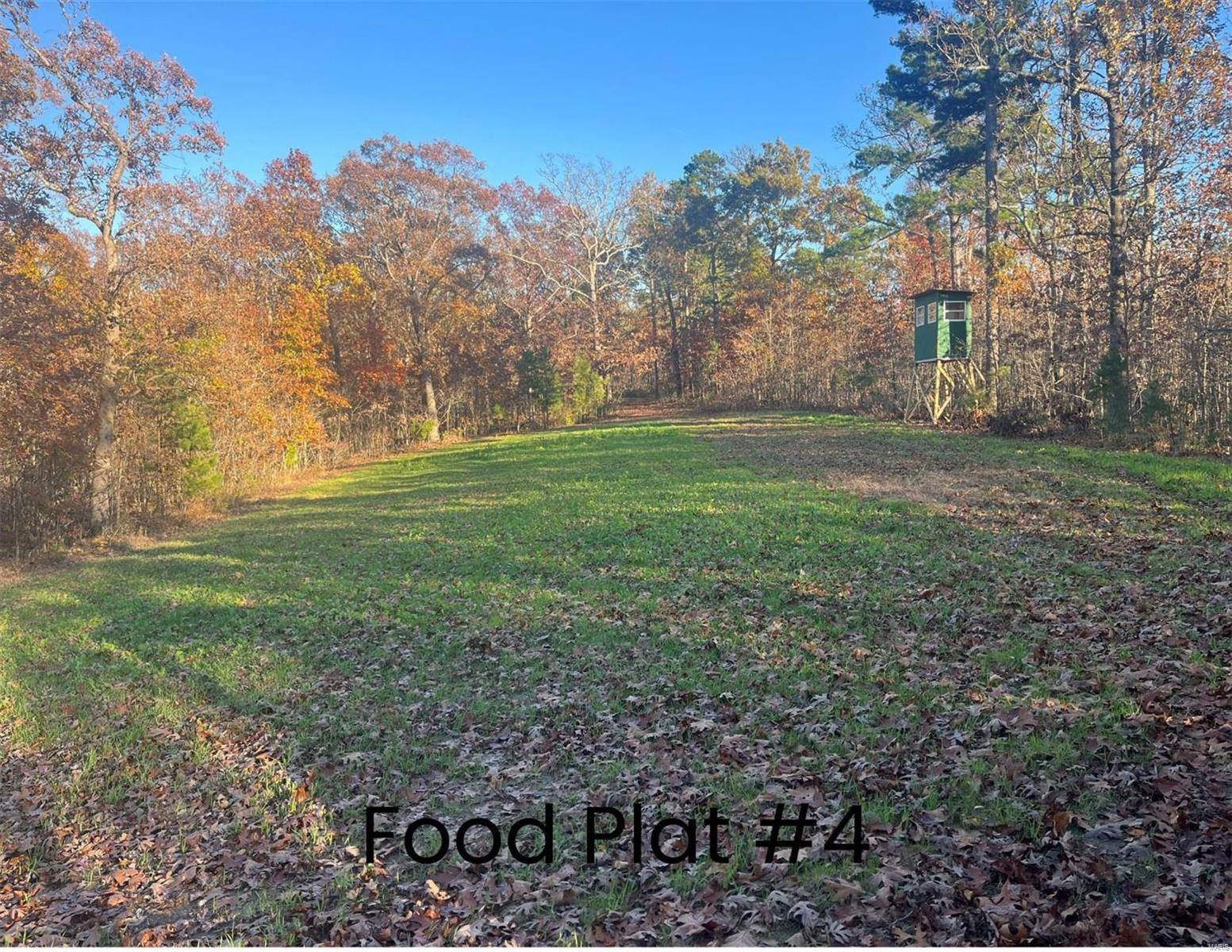 Potosi, MO 65441,0 (320+/- acres) Lodge RD