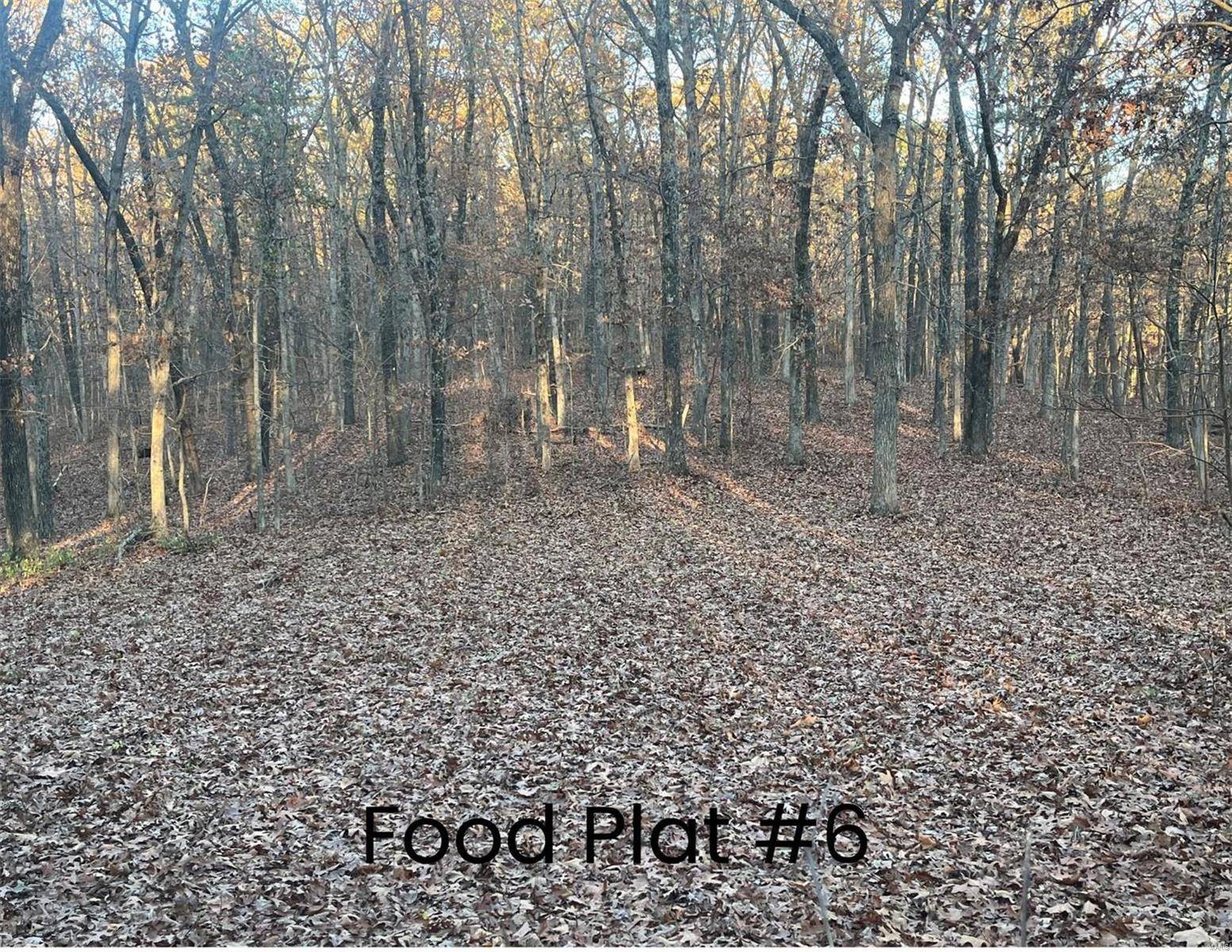 Potosi, MO 65441,0 (320+/- acres) Lodge RD