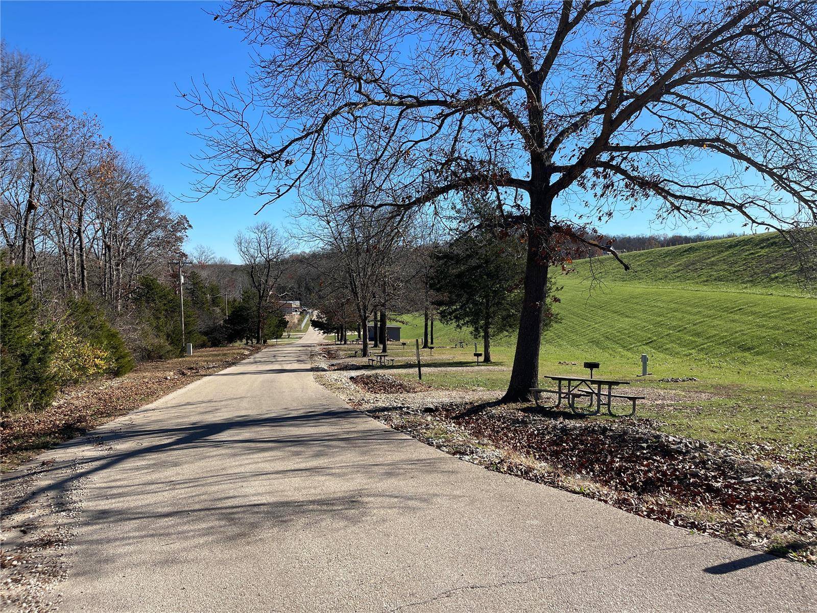 Hillsboro, MO 63050,120 Azelia Lot 120 Section 10,