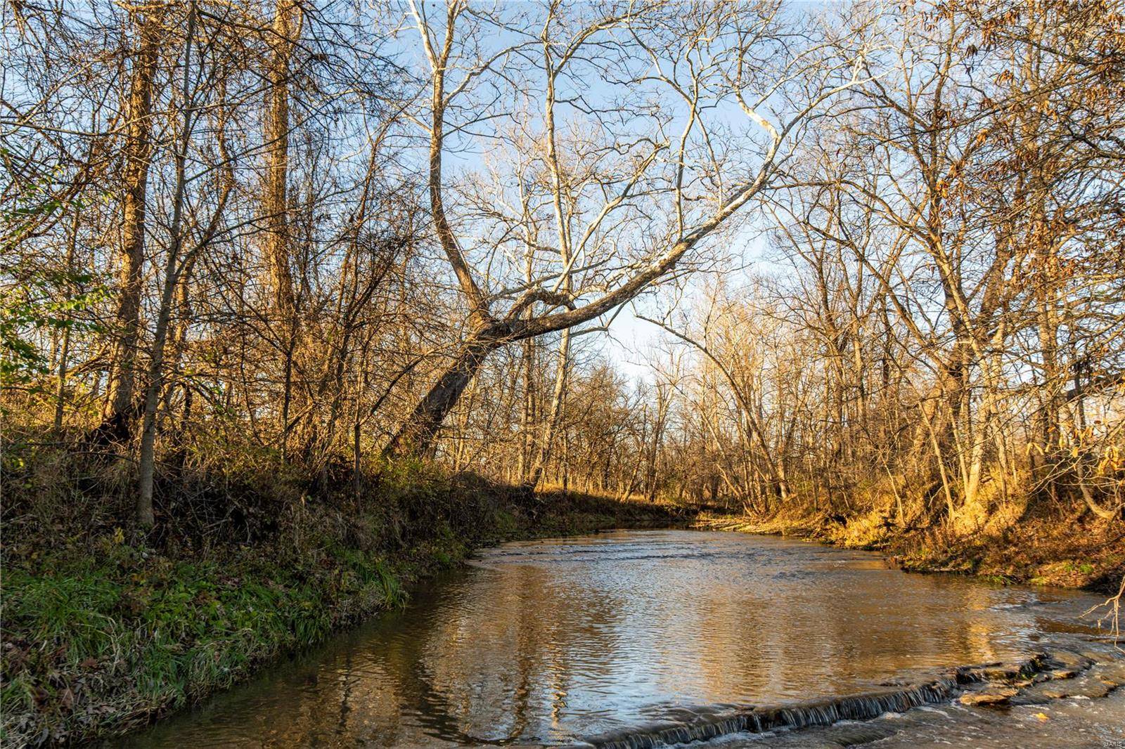 Bowling Green, MO 63334,0 Pike Co. Rd. 318 (16+/- Acres)