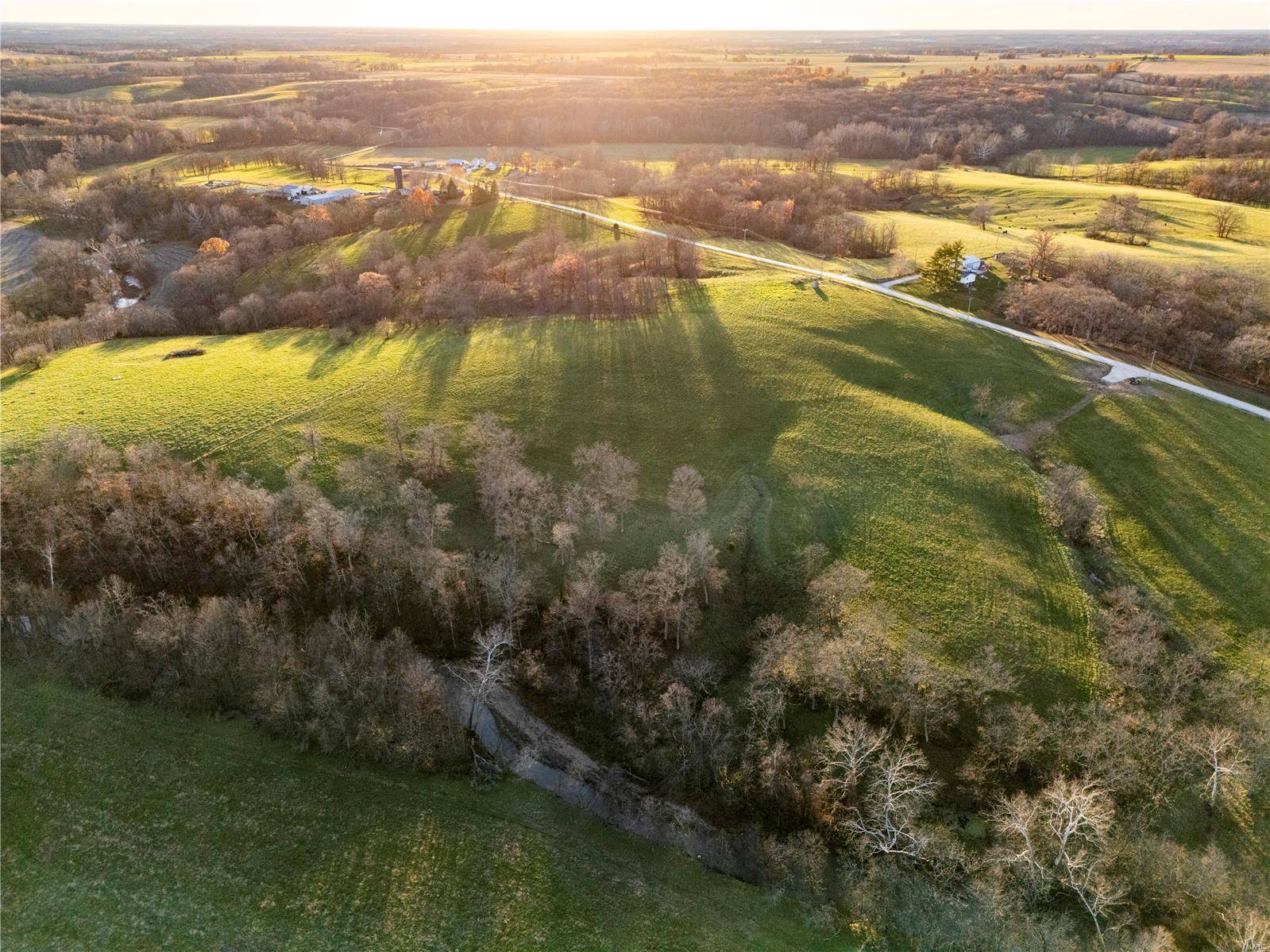 Bowling Green, MO 63334,0 Pike Co. Rd. 318 (16+/- Acres)