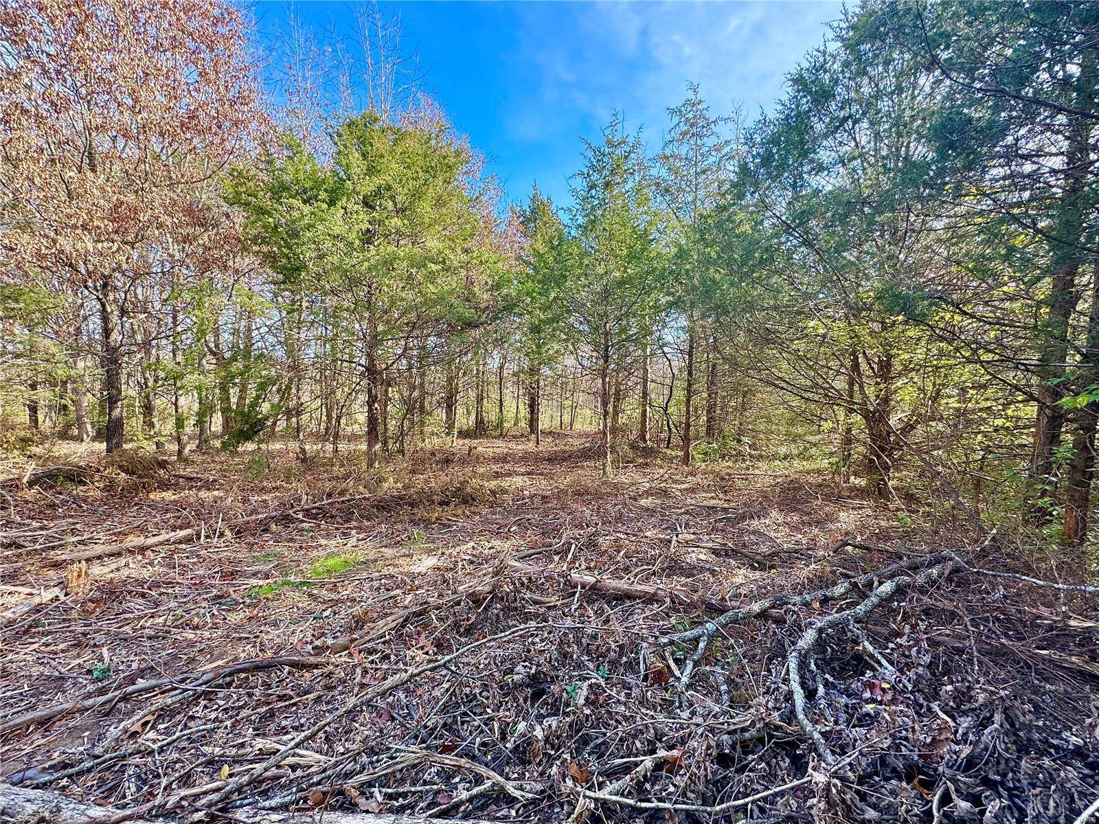 Wright City, MO 63390,0 Lot 12, White Oak Estates LN