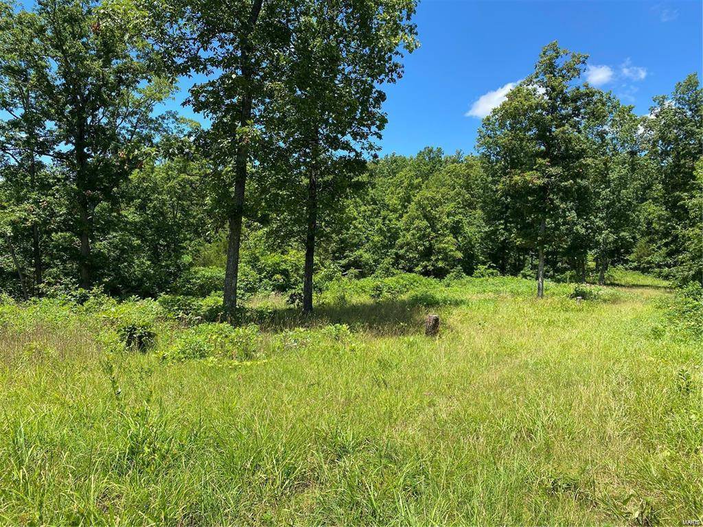 Richwoods, MO 63071,0 53.84+/- Ac Briarcliff TRL