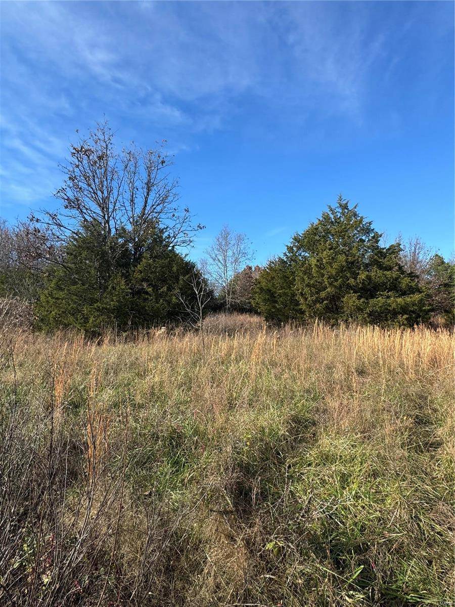 Unincorporated, MO 65552,0 Walnut Road