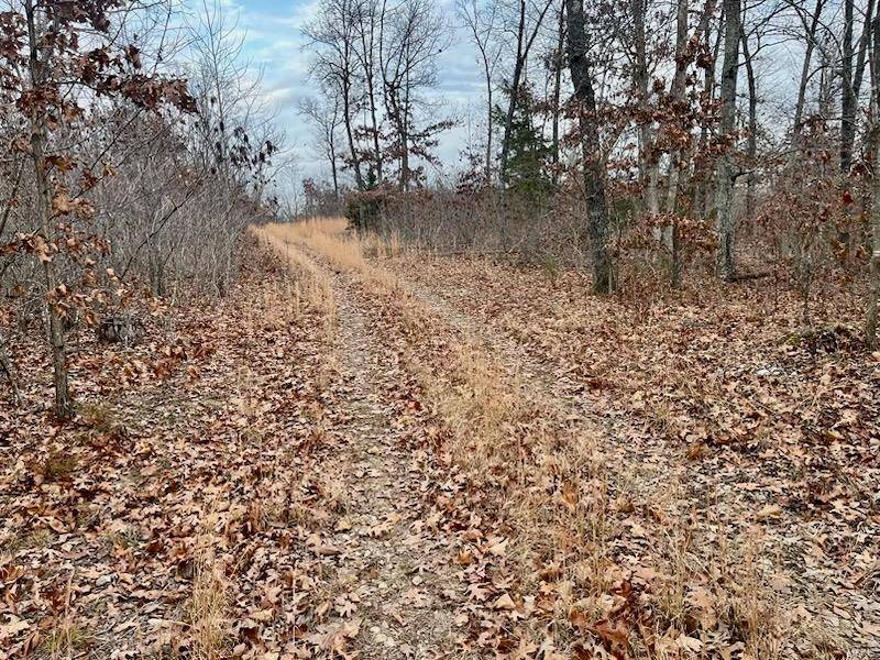 Richwoods, MO 63071,0 125.87 Ac Tract1-A Clear Creek RD