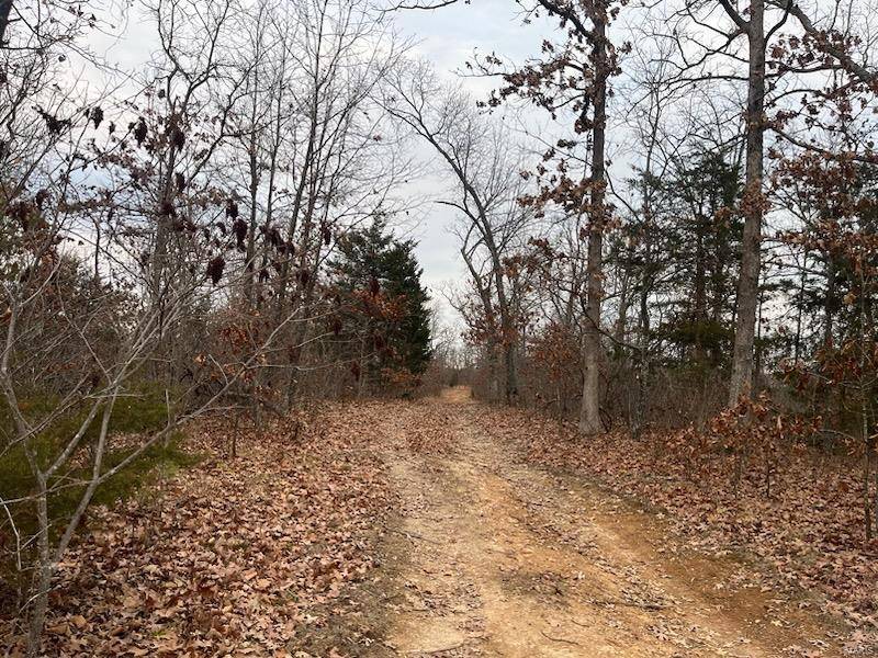 Richwoods, MO 63071,0 125.87 Ac Tract1-A Clear Creek RD